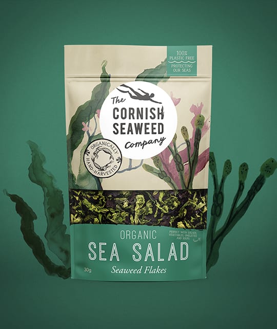 Cornish Seaweed Company Sea Salad packaging branding by Kingdom & Sparrow