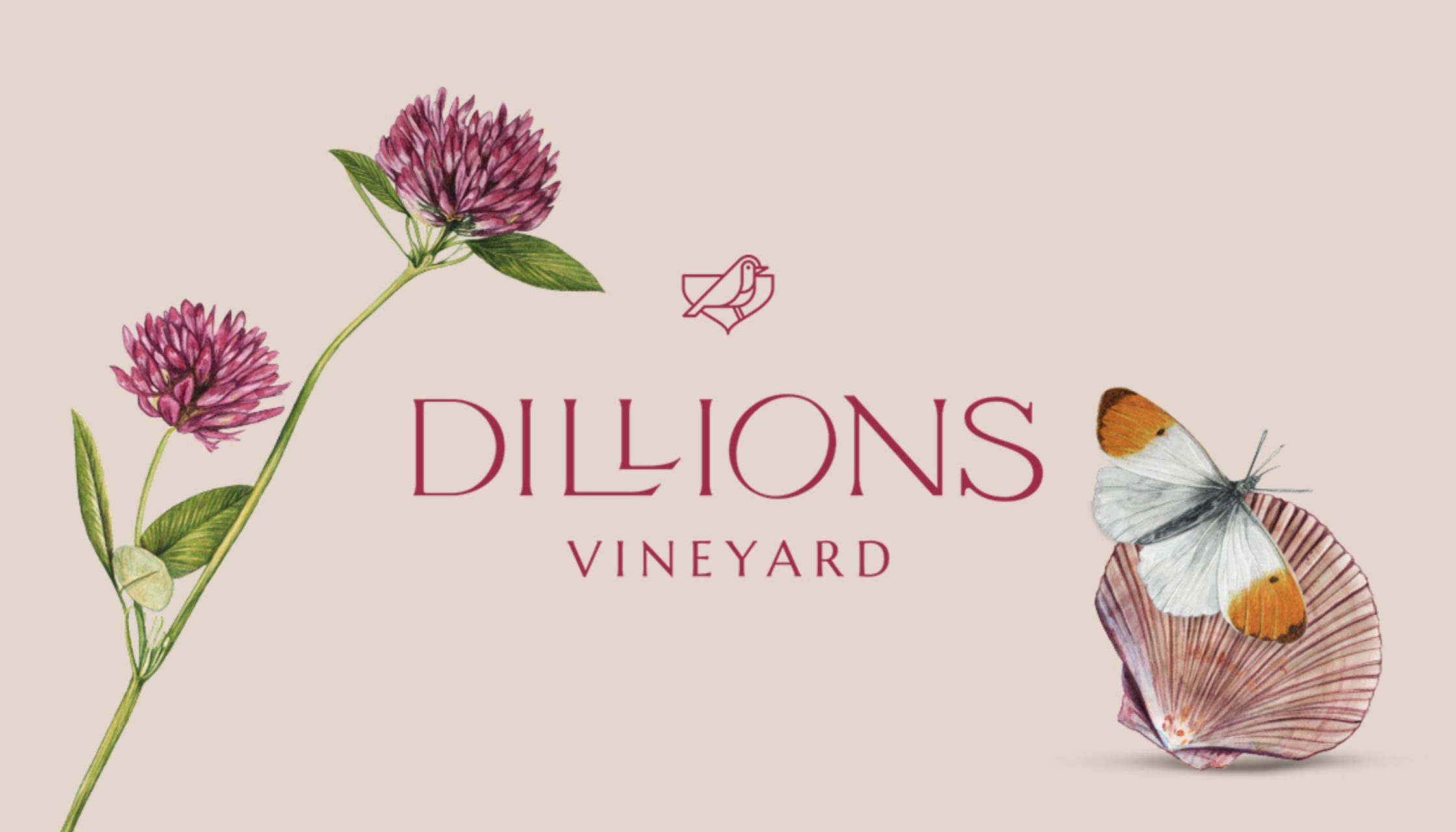 Sillions vineyard logo design rose wine branding