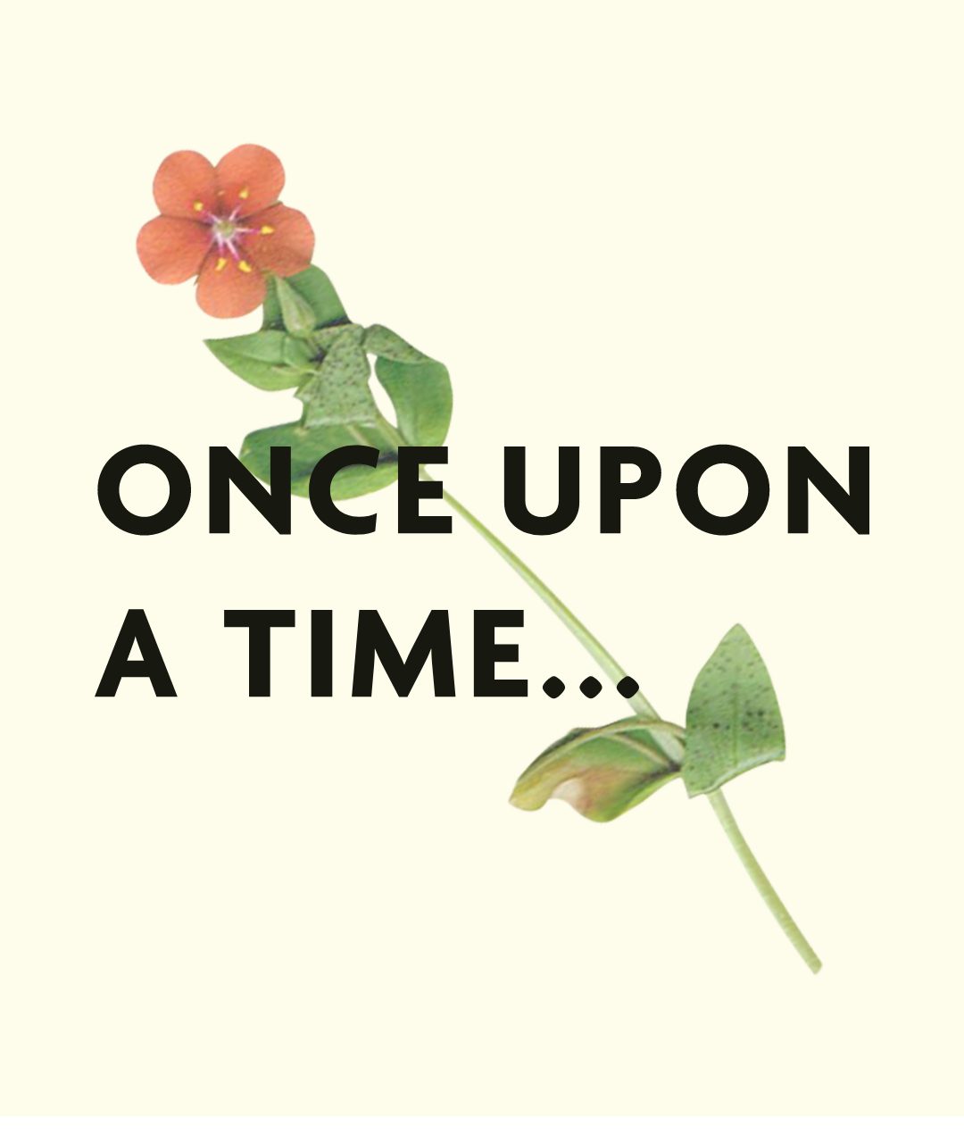 Wine branding once upon a time graphic