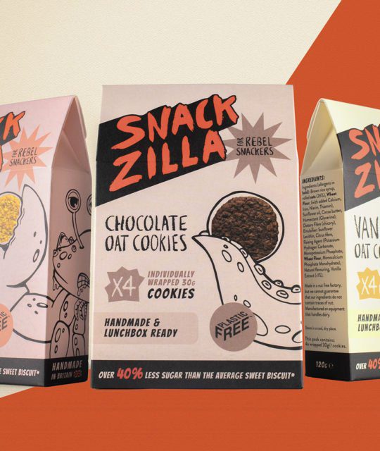 Snackzilla kids snack boxes branding by Kingdom & Sparrow