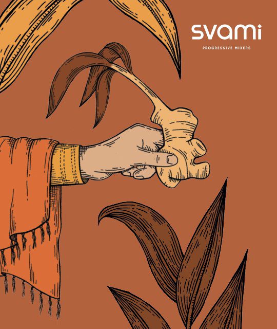 Svami ginger illustration by Kingdom & Sparrow