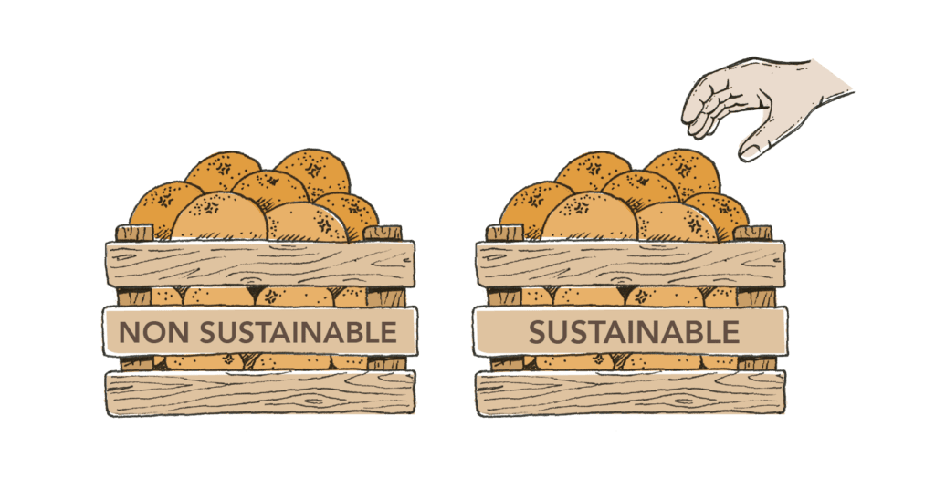 Sustainable food