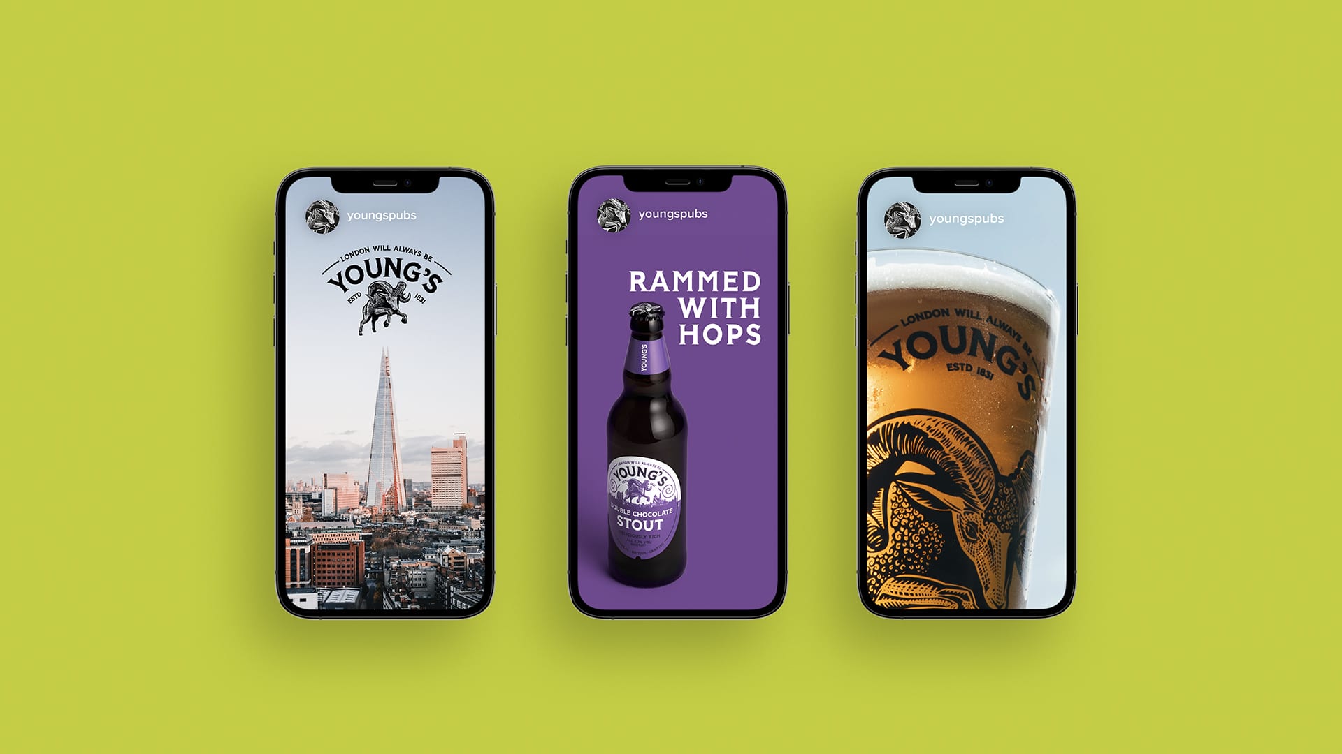 Young's Brewery Rebrand Kingdom & Sparrow Iphone Instagram story